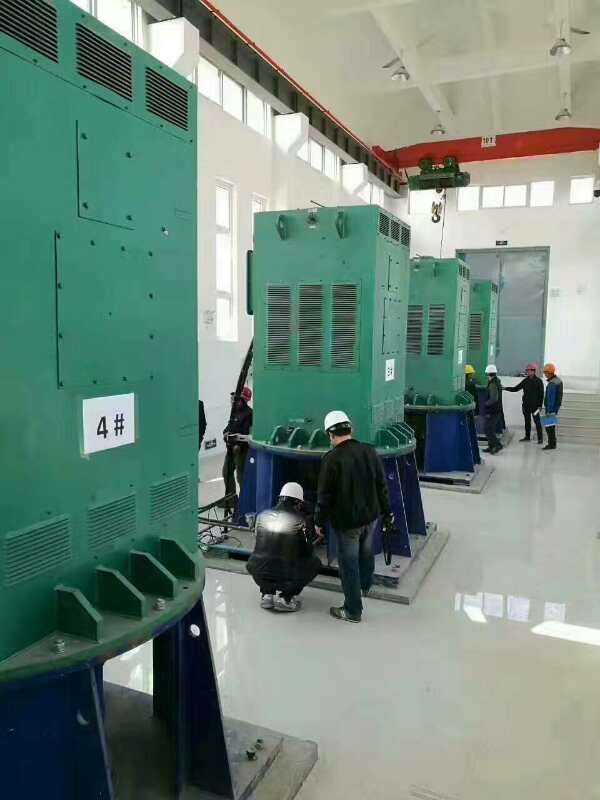 Y4003-2某污水处理厂使用我厂的立式高压电机安装现场