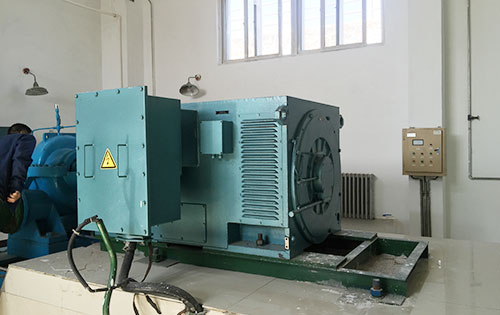 Y4003-2某水电站工程主水泵使用我公司高压电机