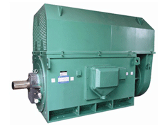 Y4003-2YKK系列高压电机